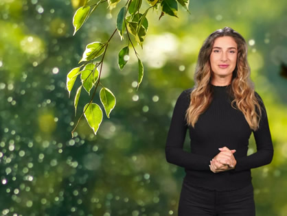 Видео превью